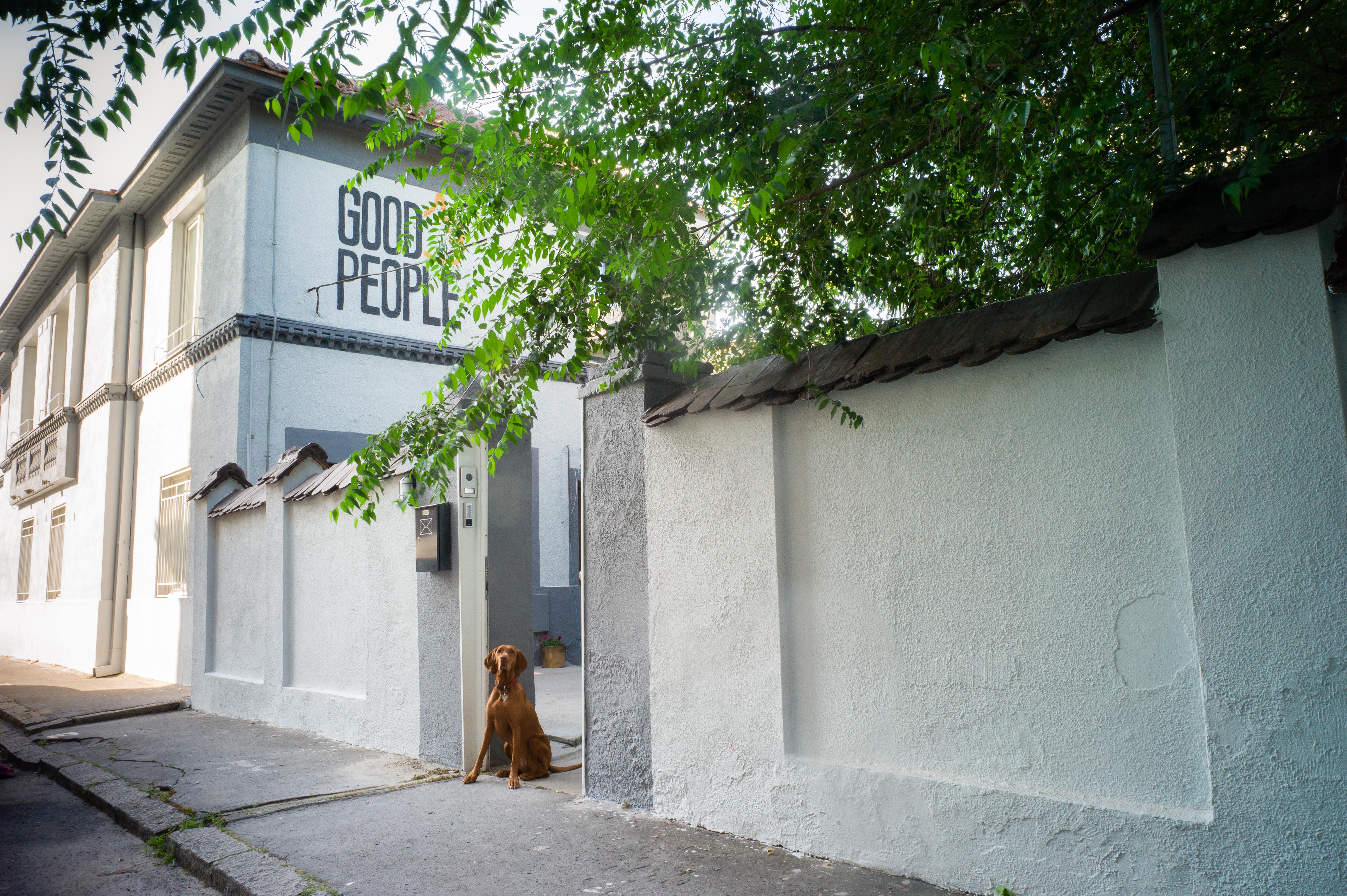 Good People Design Hostel Beograd Bagian luar foto